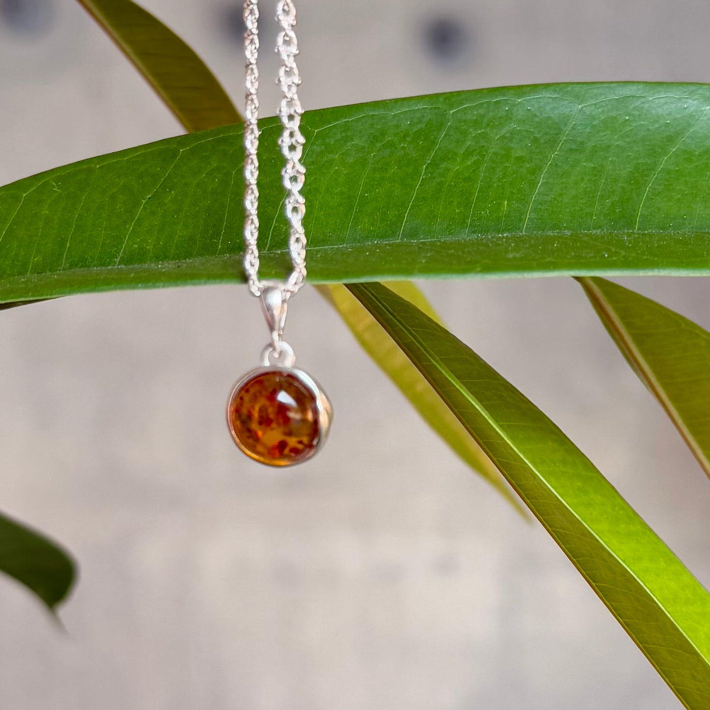 Amber charm
