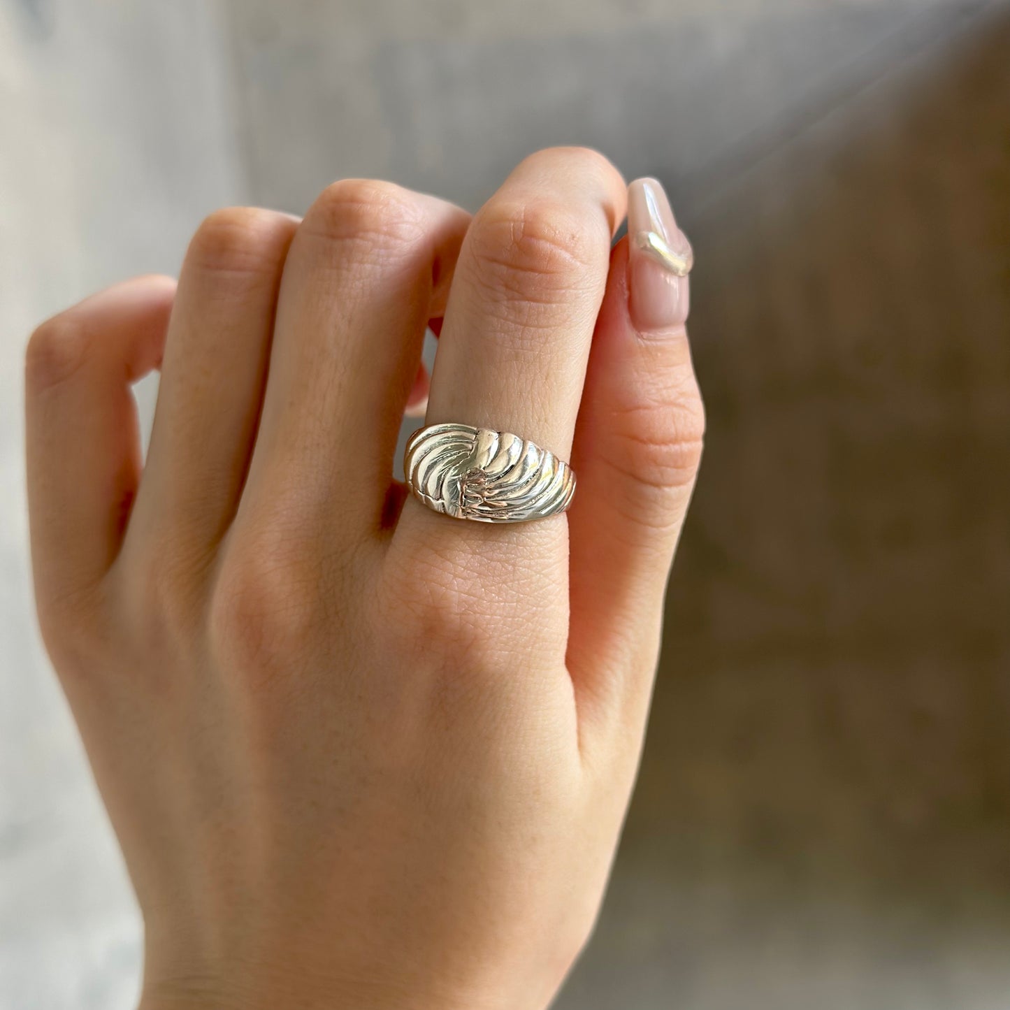 Silver925 plain ring 62