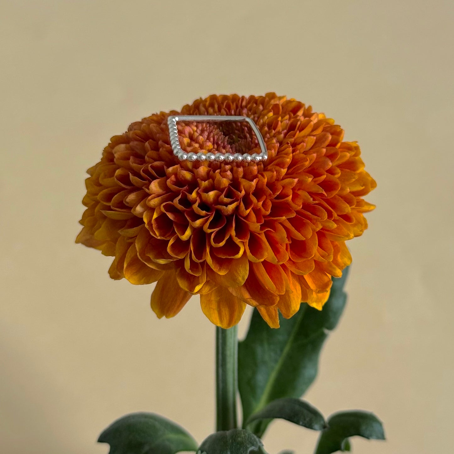 Silver925 plain ring 31