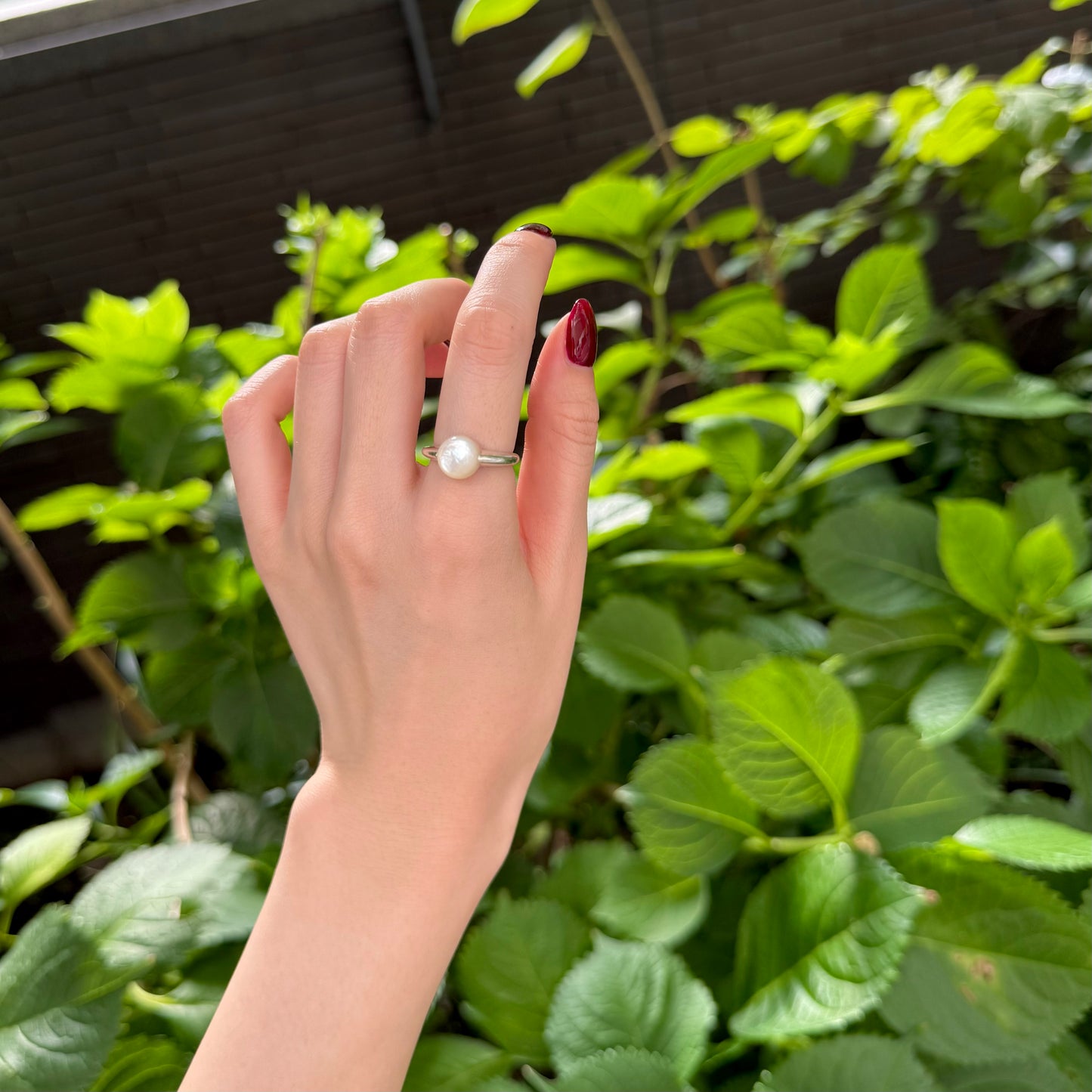 Shell 1stone ring