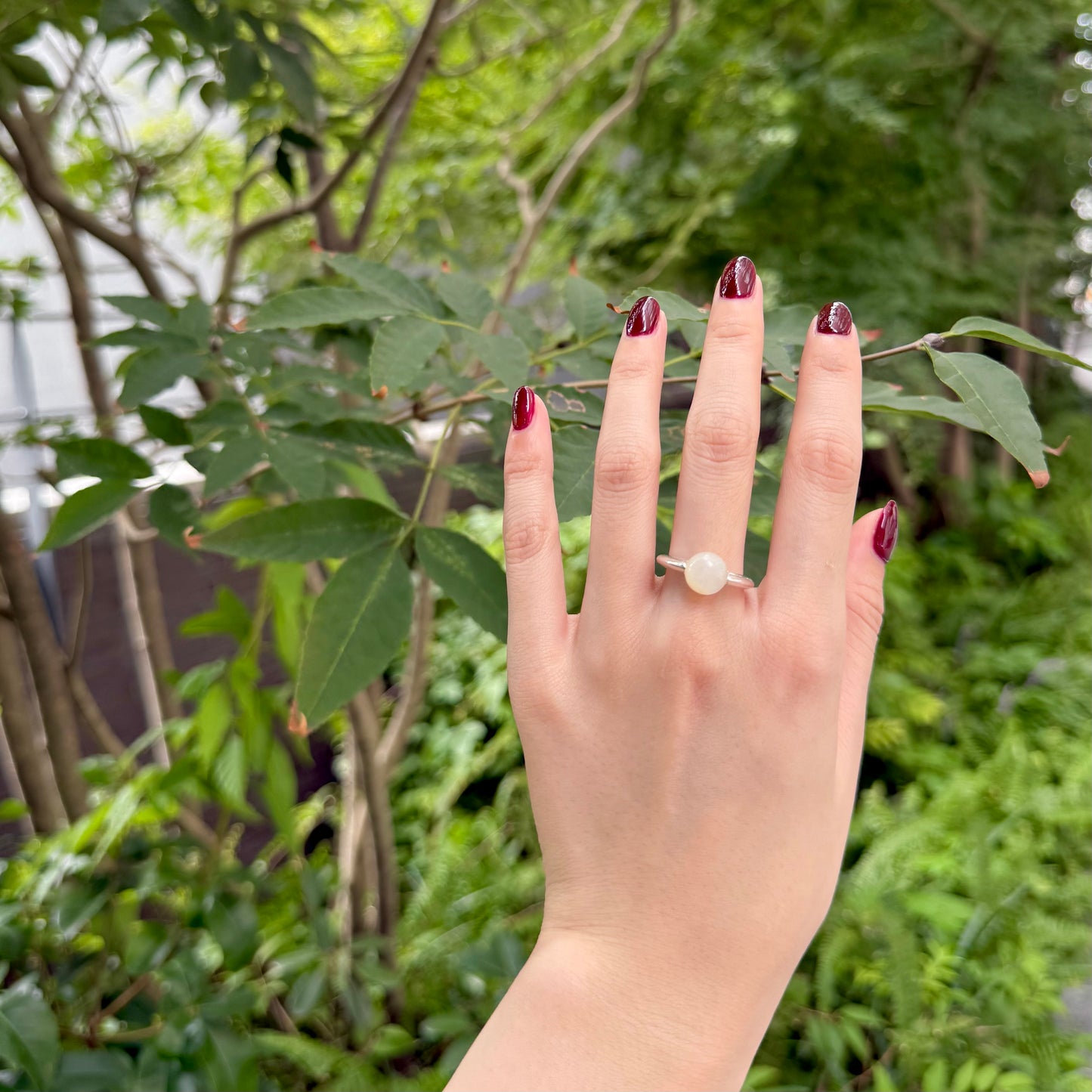 Shell 1stone ring