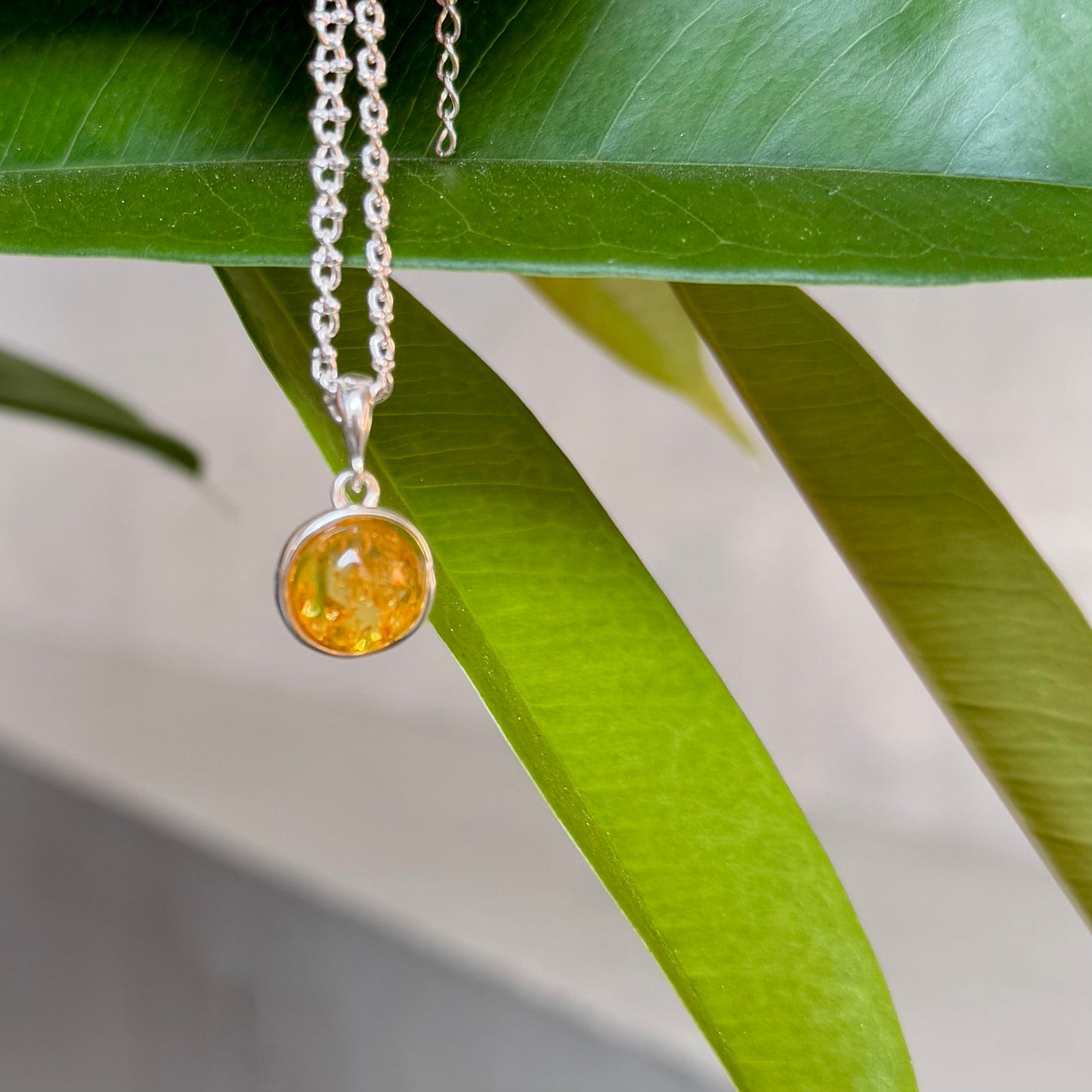 Amber charm