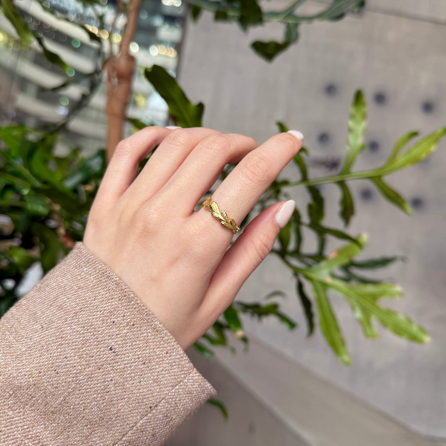 Brass plain ring 60