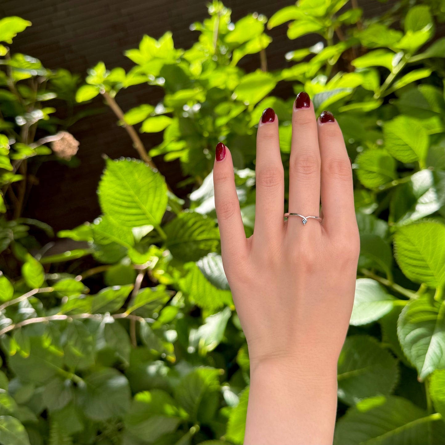 Silver925 V design ring 5