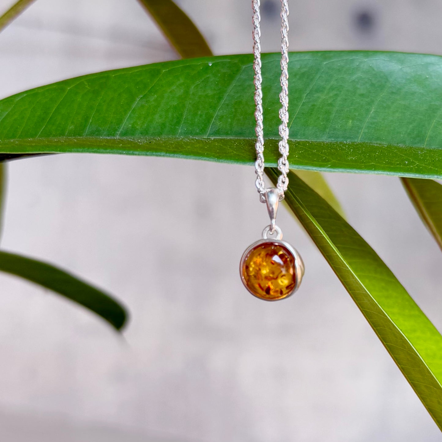 Amber charm
