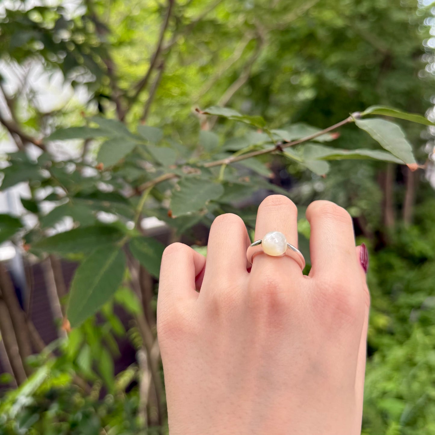 Shell 1stone ring