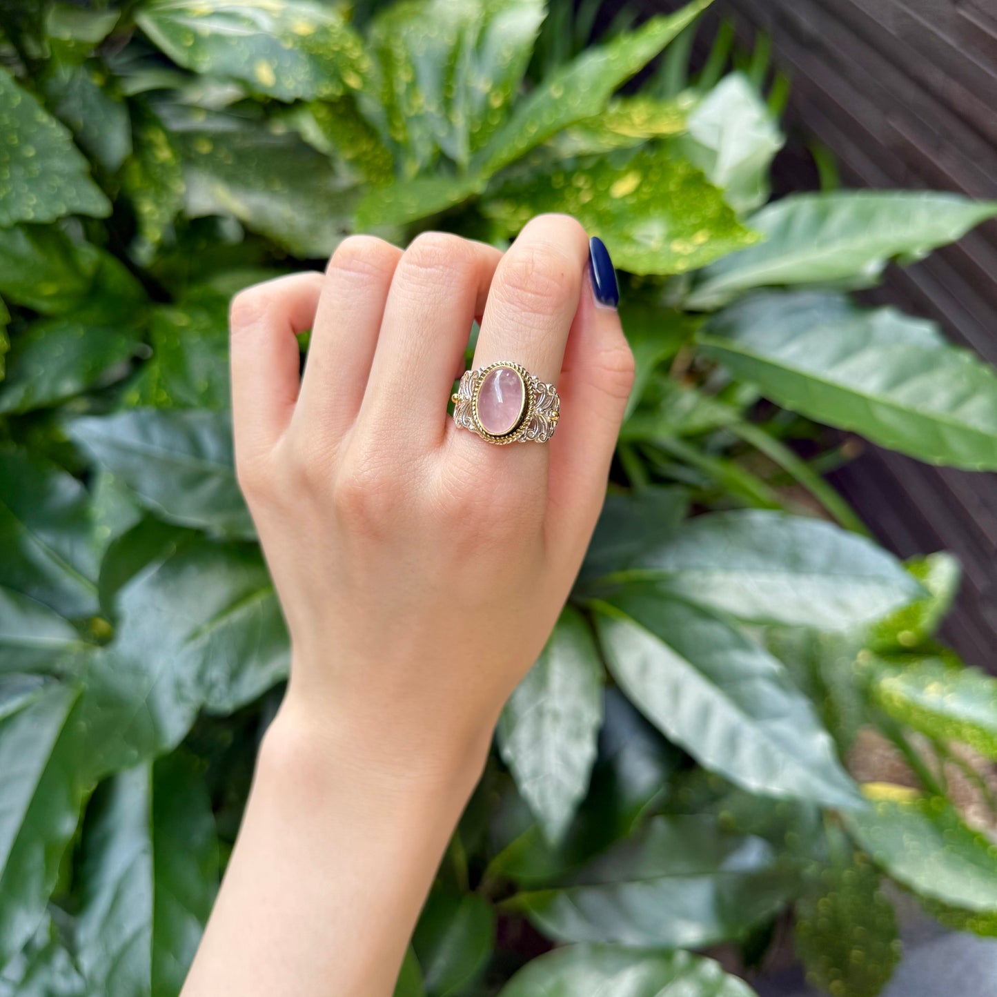 Connect ring 2