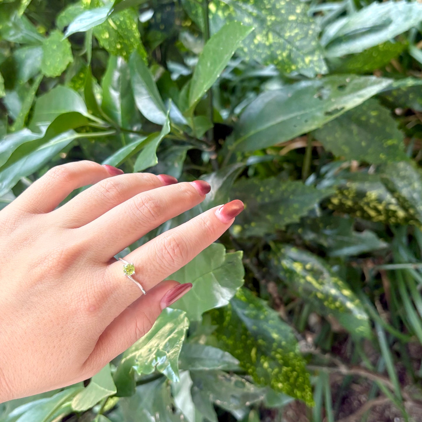 Silver925 1stone ring 1