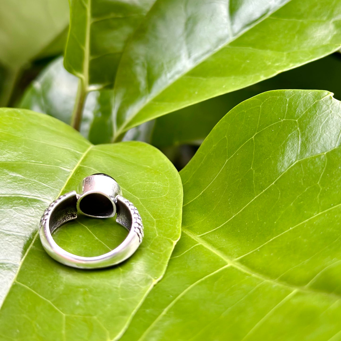 Black star ring 1