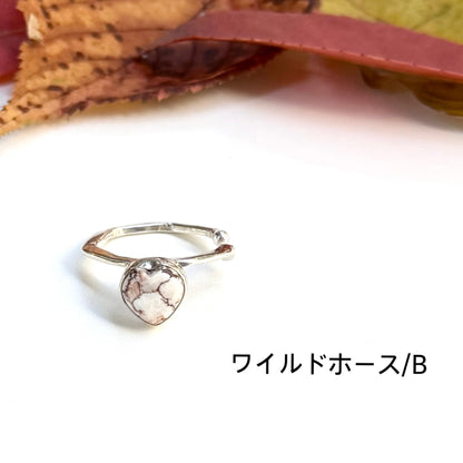 Autumn color 7