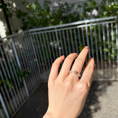 Silver925 petit ring 21