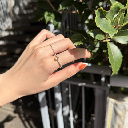 Silver925 petit ring 18