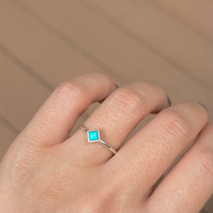 Silver925 petit ring 14
