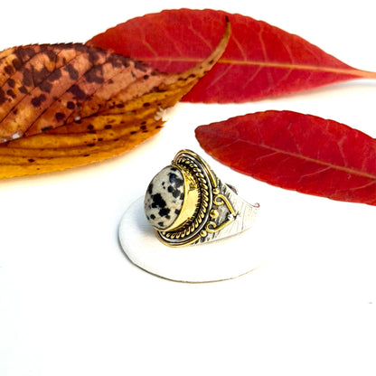 Autumn color 16