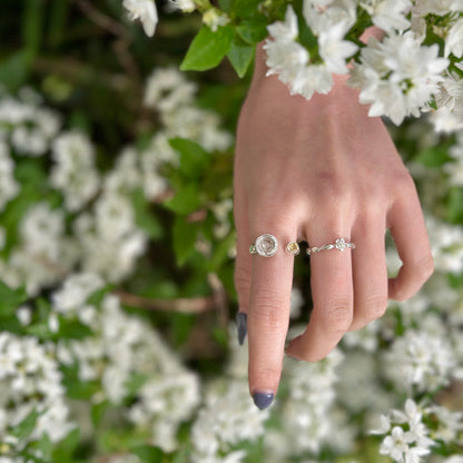 Rose design ring