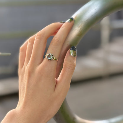 Connect mini ring 24