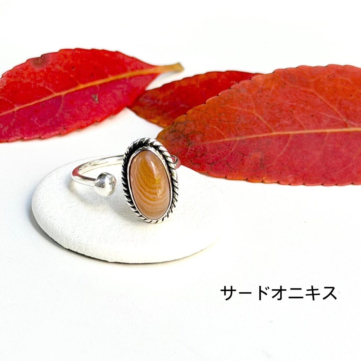 Autumn color 12