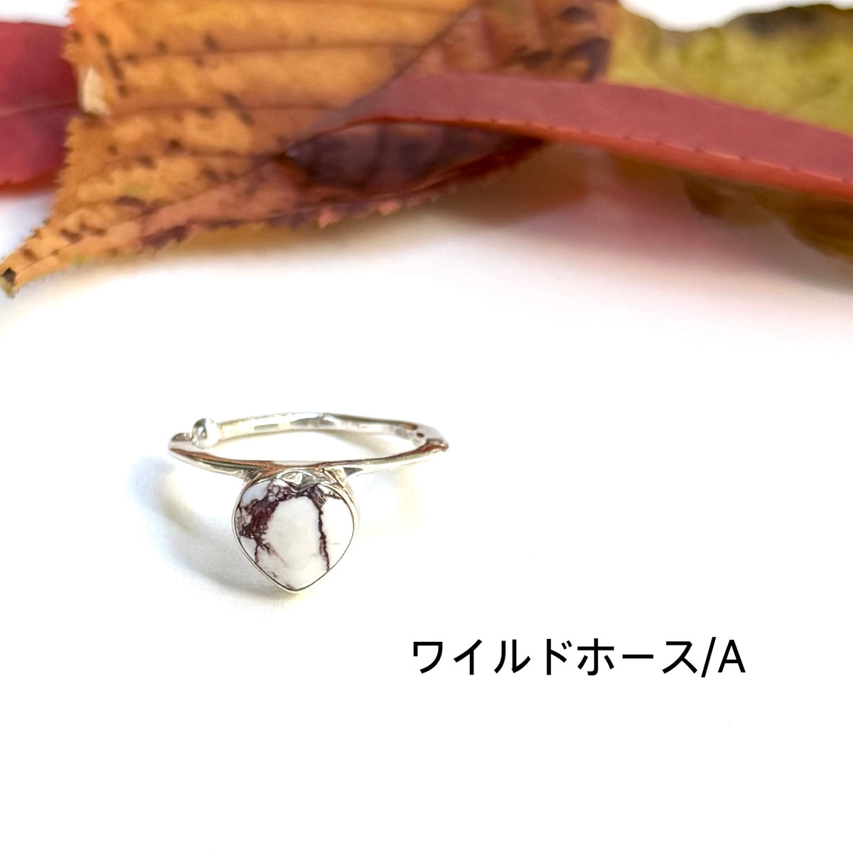 Autumn color 7