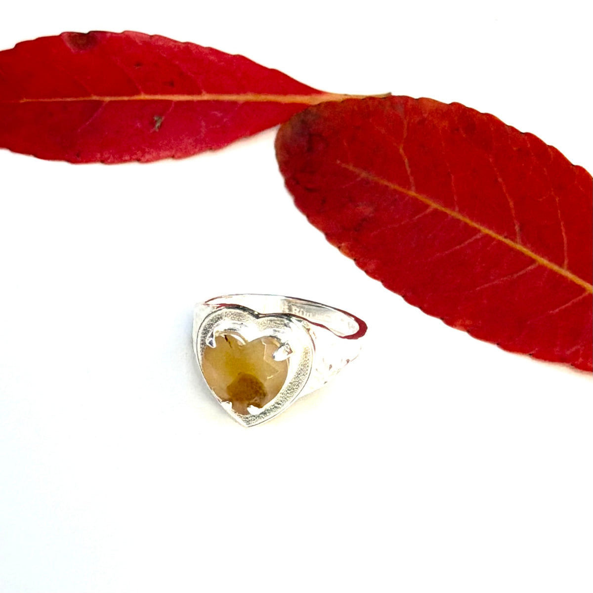 Autumn color 14