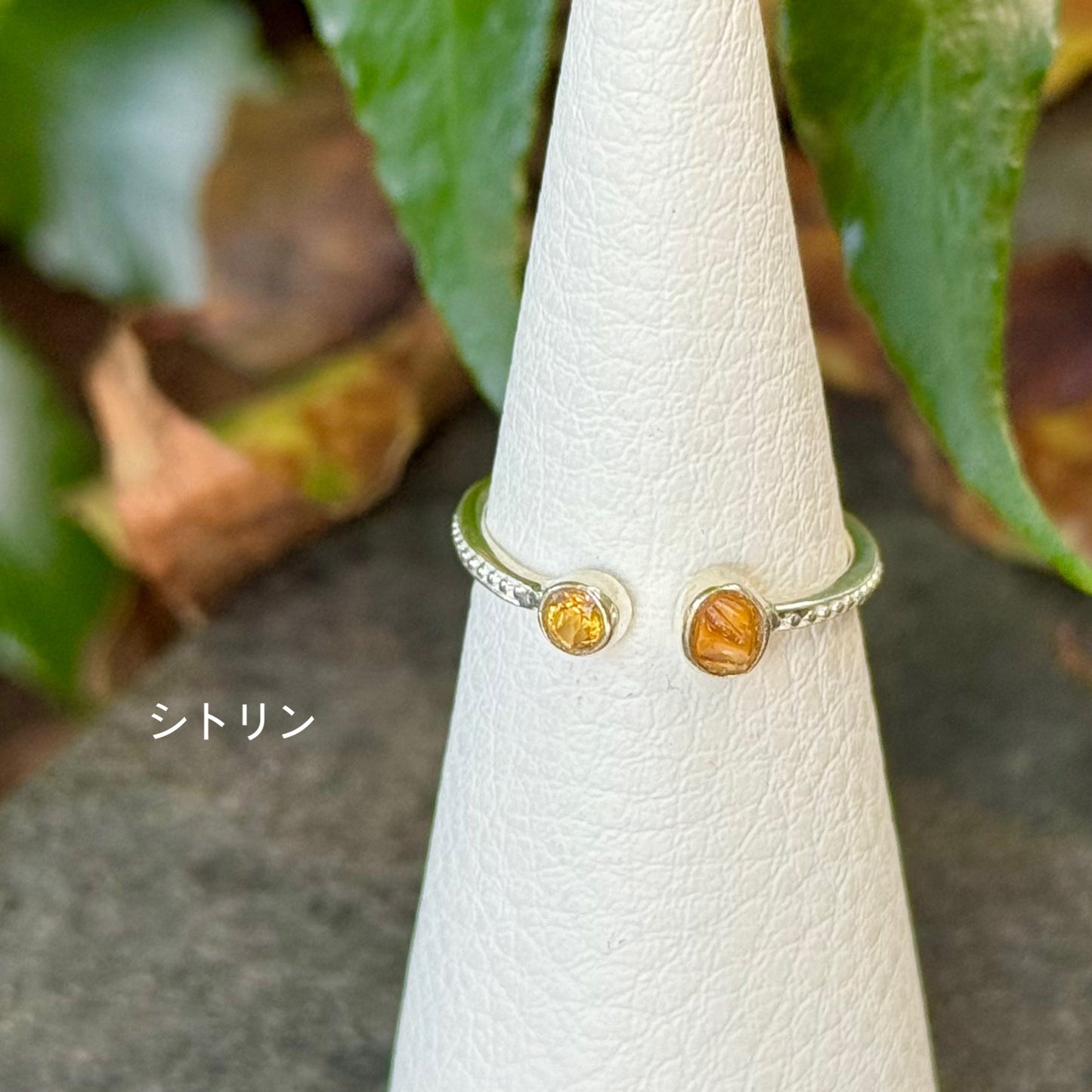 2stone ring 29