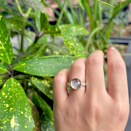 Doublet Abalone shell & Crystal ring 1