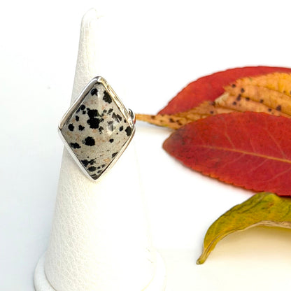 Autumn color 9