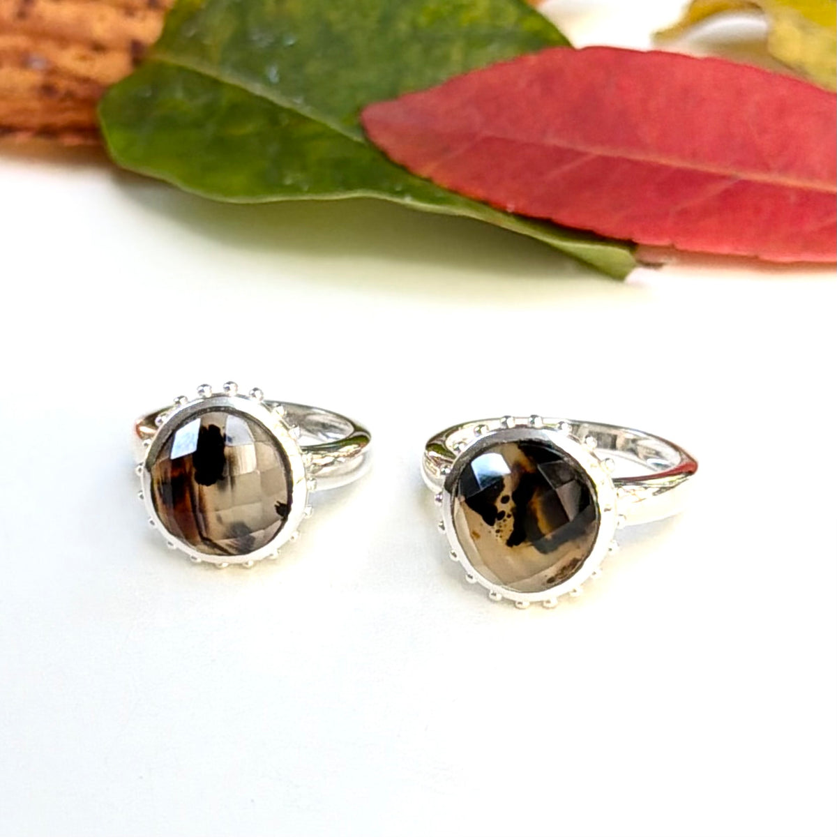 Autumn color 15