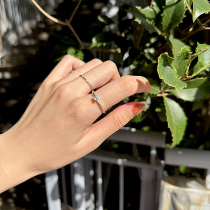 Silver925 petit ring 17