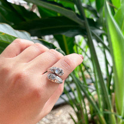 Silver925 2stone ring 17