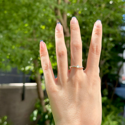 Silver925 petit ring 77