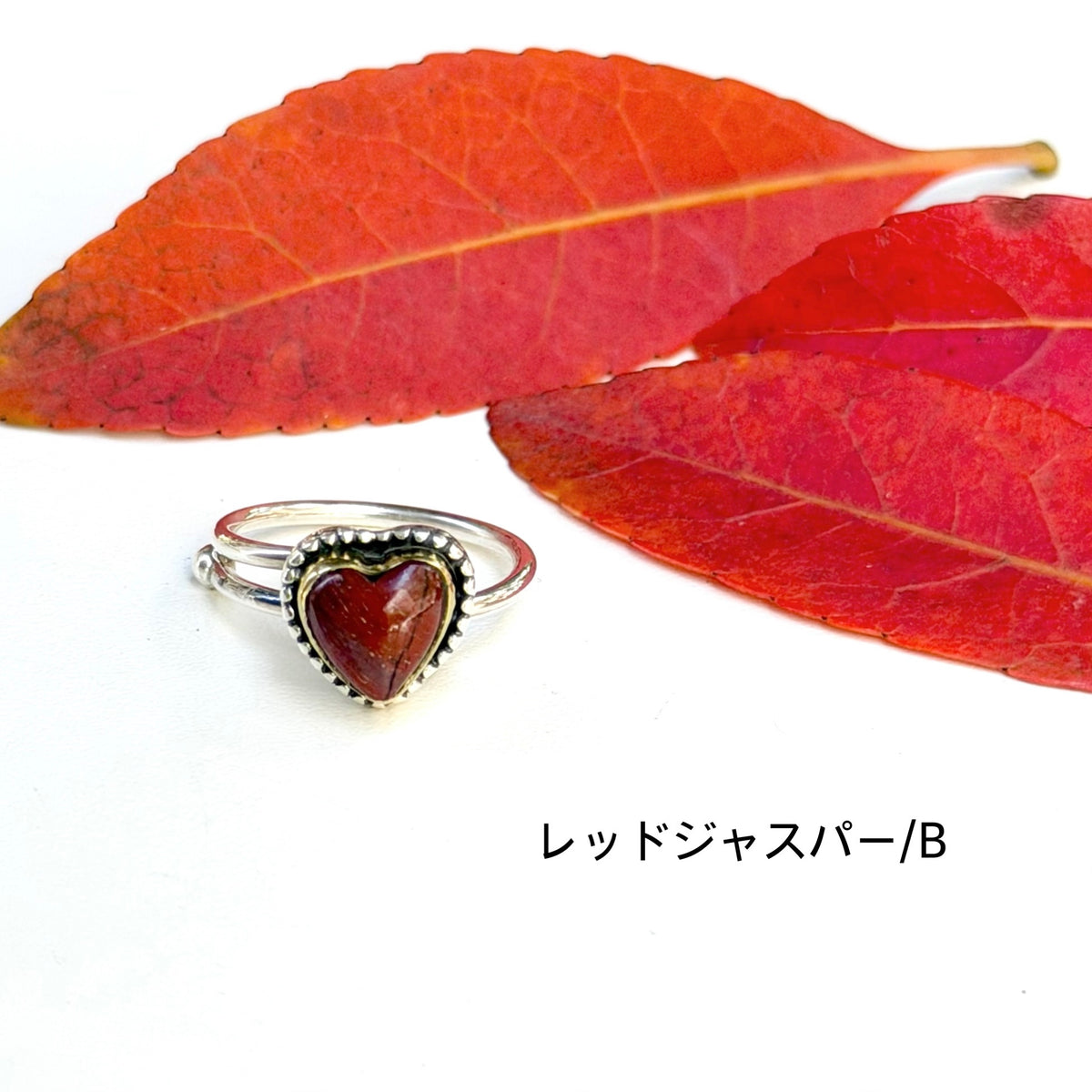 Autumn color 13