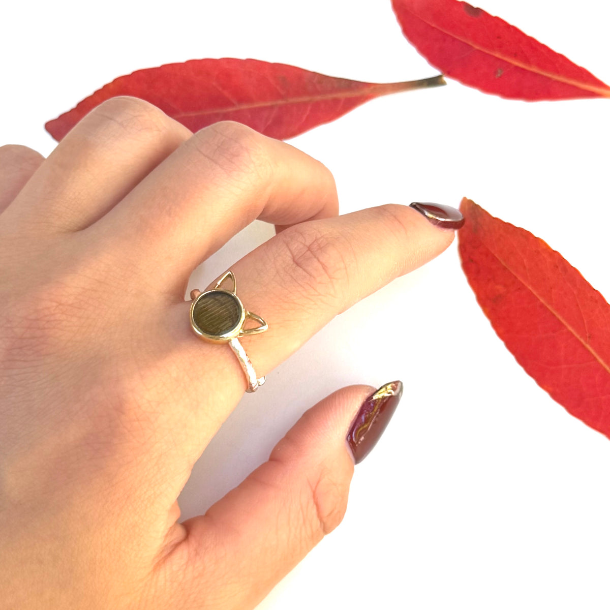 Autumn color 1