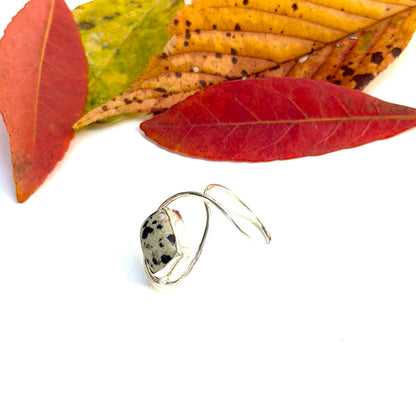 Autumn color 5