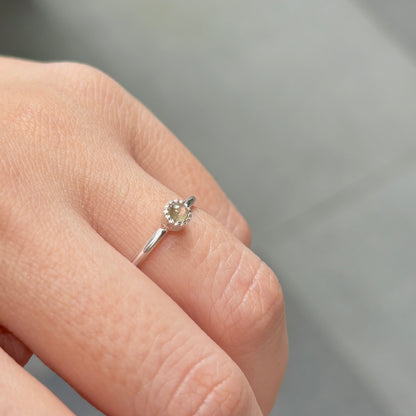 Silver925 petit ring 5