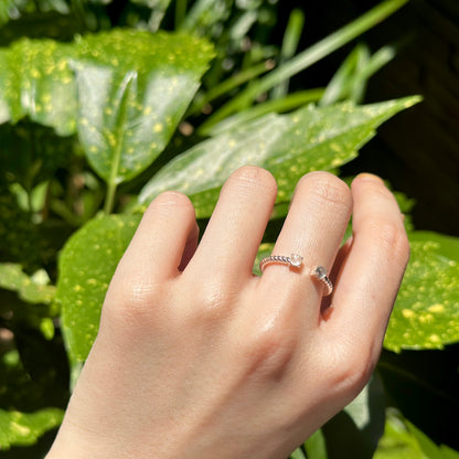 Silver925 2stone ring 18