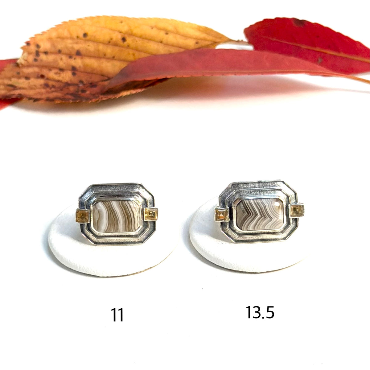 Autumn color 17