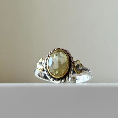 Connect mini ring 9