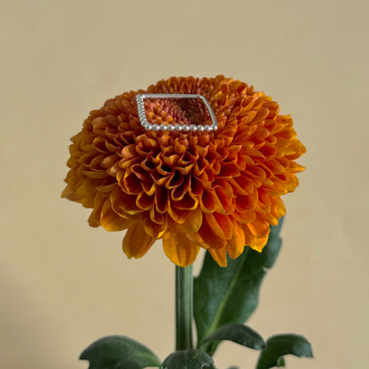 Silver925 plain ring 31