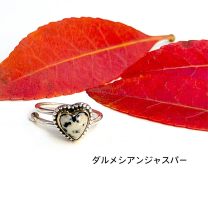 Autumn color 13