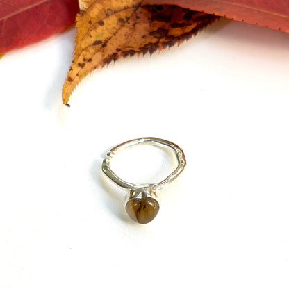 Autumn color 7