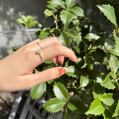 Silver925 petit ring 21