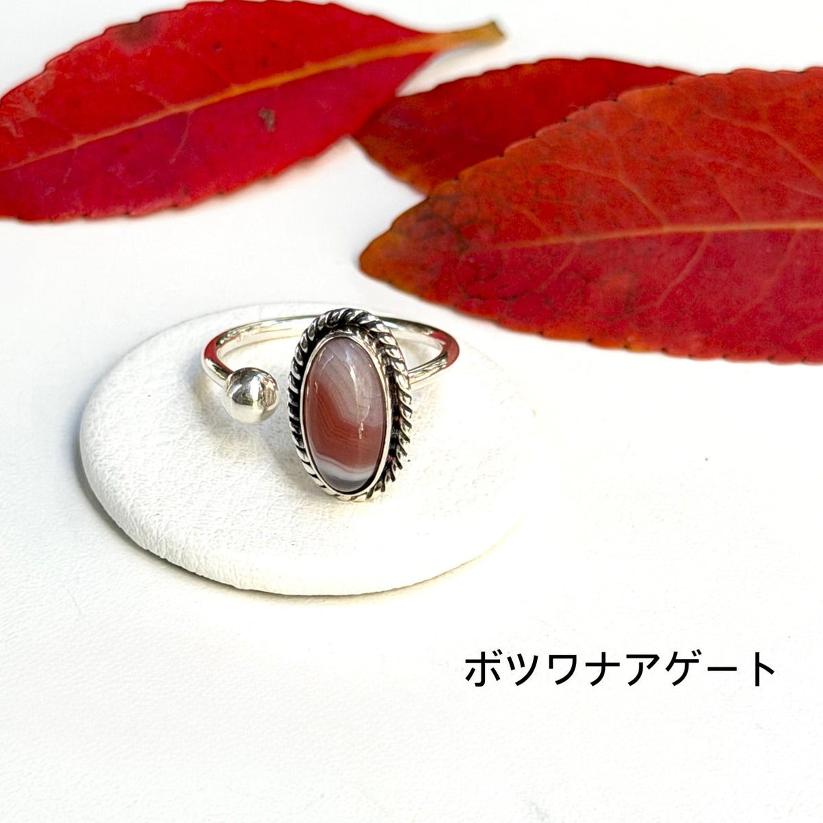 Autumn color 12