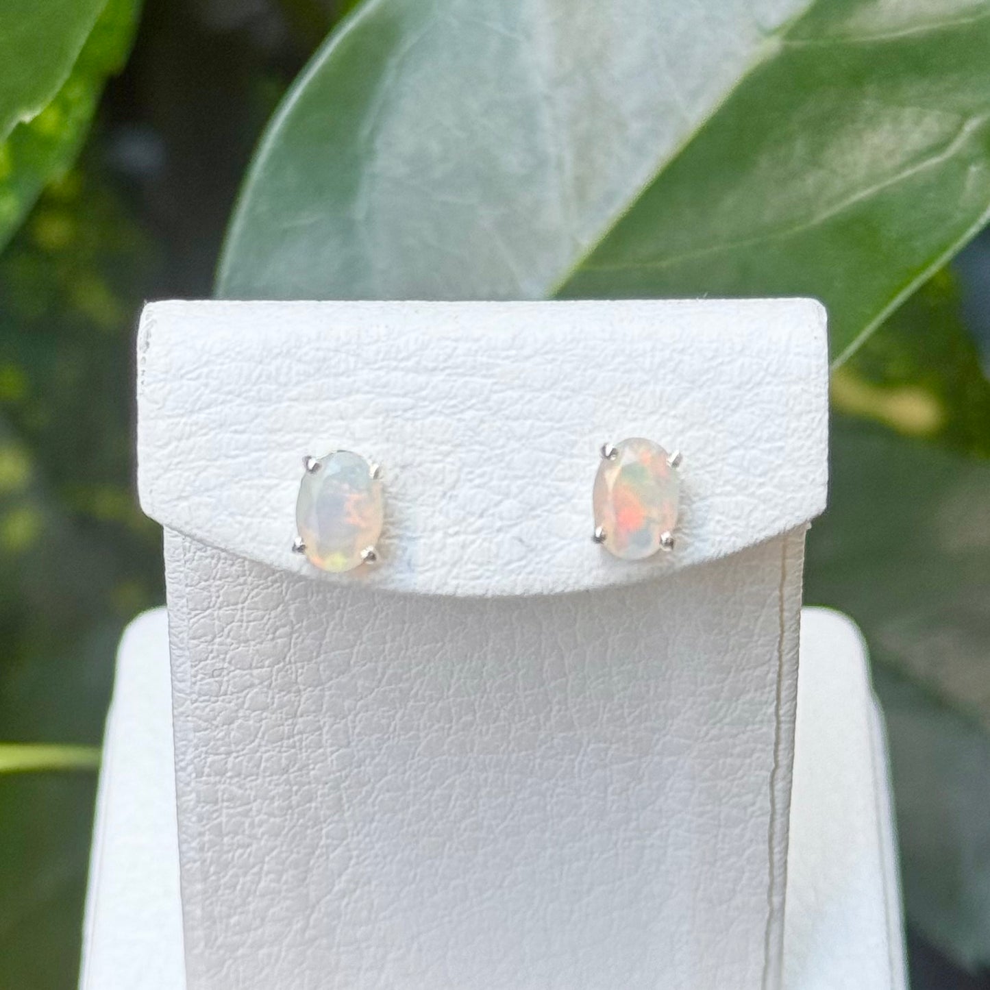 Opal pierce 1