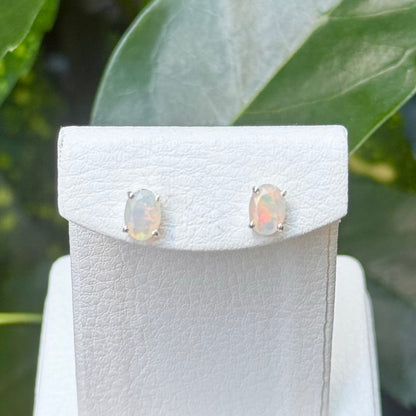 Opal pierce 1