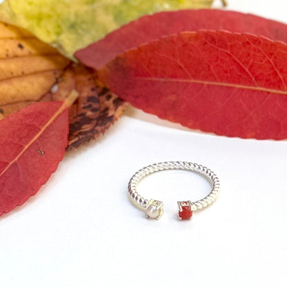 Autumn color 2