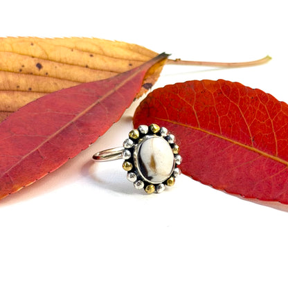 Autumn color 11