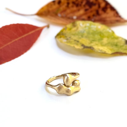 Brass plain ring 25