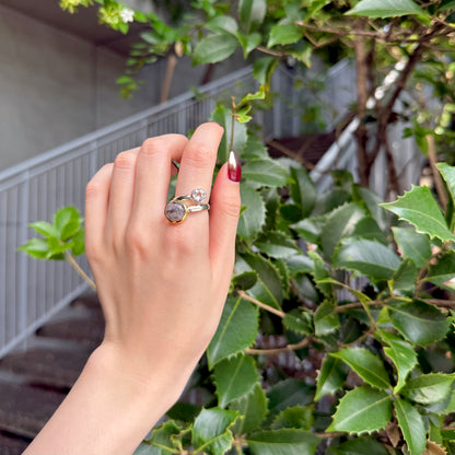 Silver925×Brass 2stone ring 20