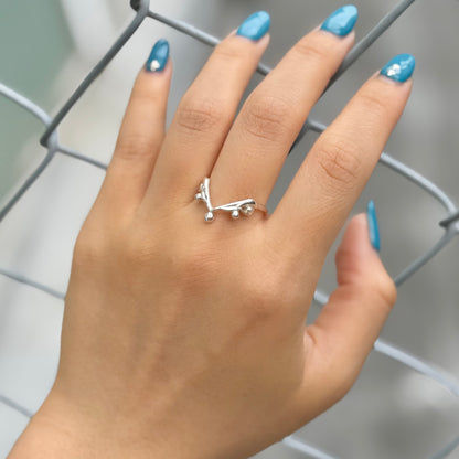 Silver925 plain ring 28