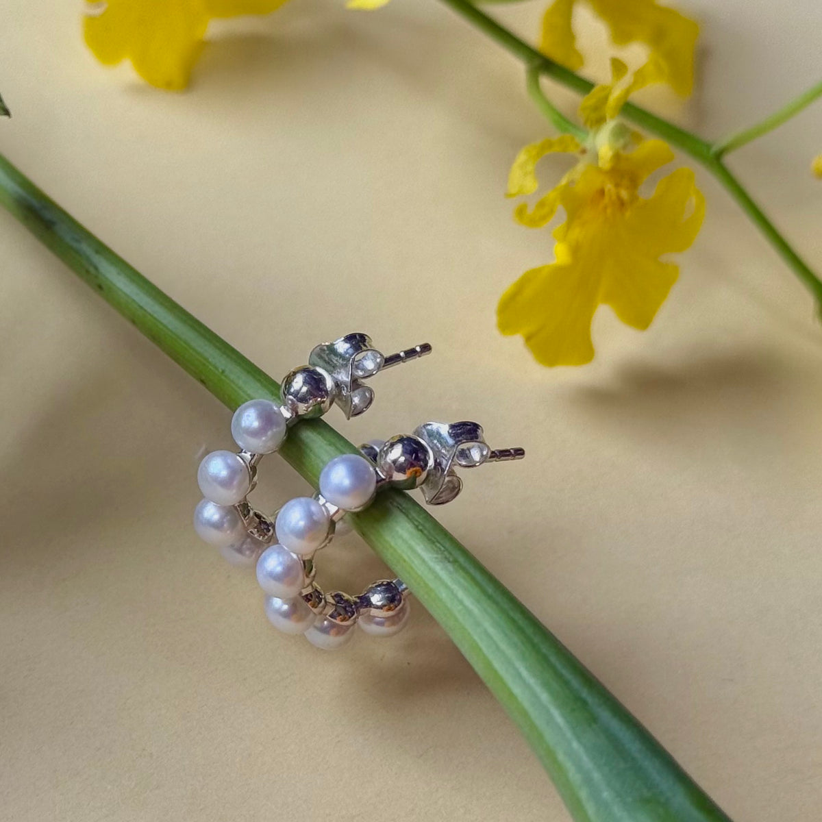 Pearl design pierce 6